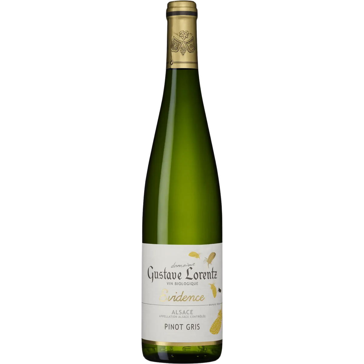 Evidence Pinot Gris