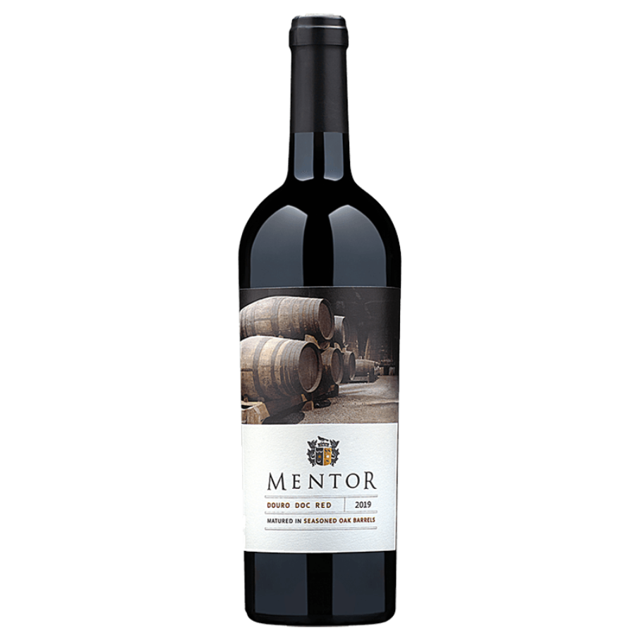 Mentor
