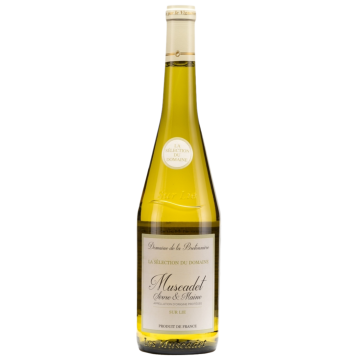 Muscadet Serve & Maine Sur Lie