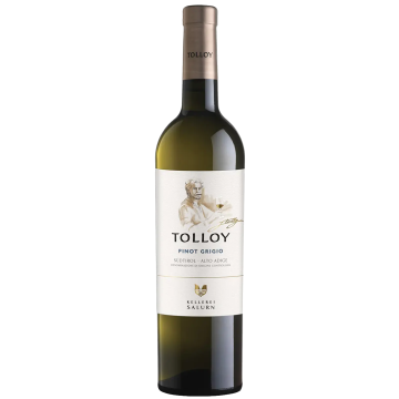Tolloy Pinot Grigio