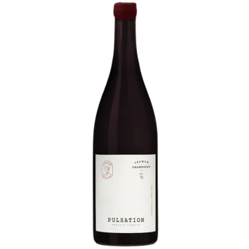 Les Éclaireurs Pulsation Saumur Champigny Bio Rouge